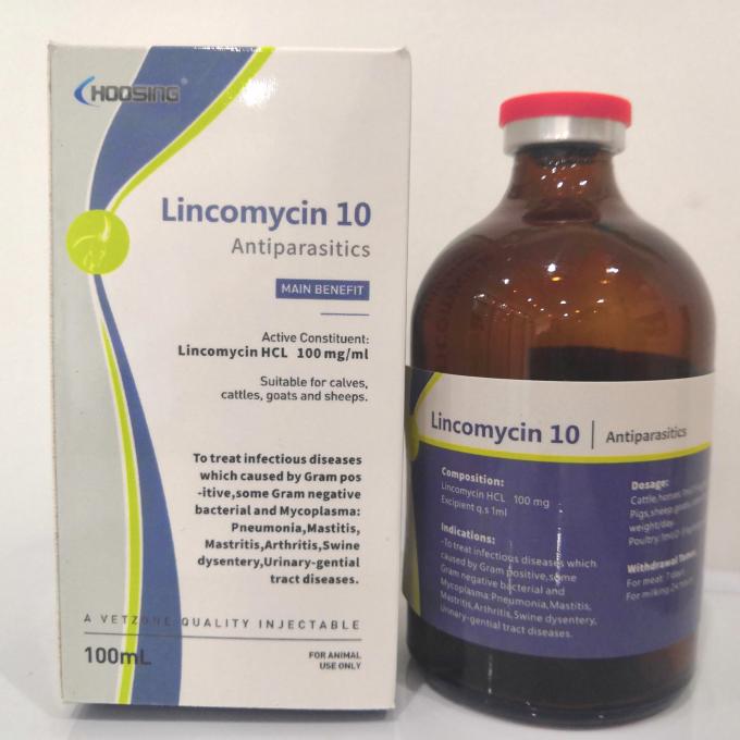 what is lincocin used to treat