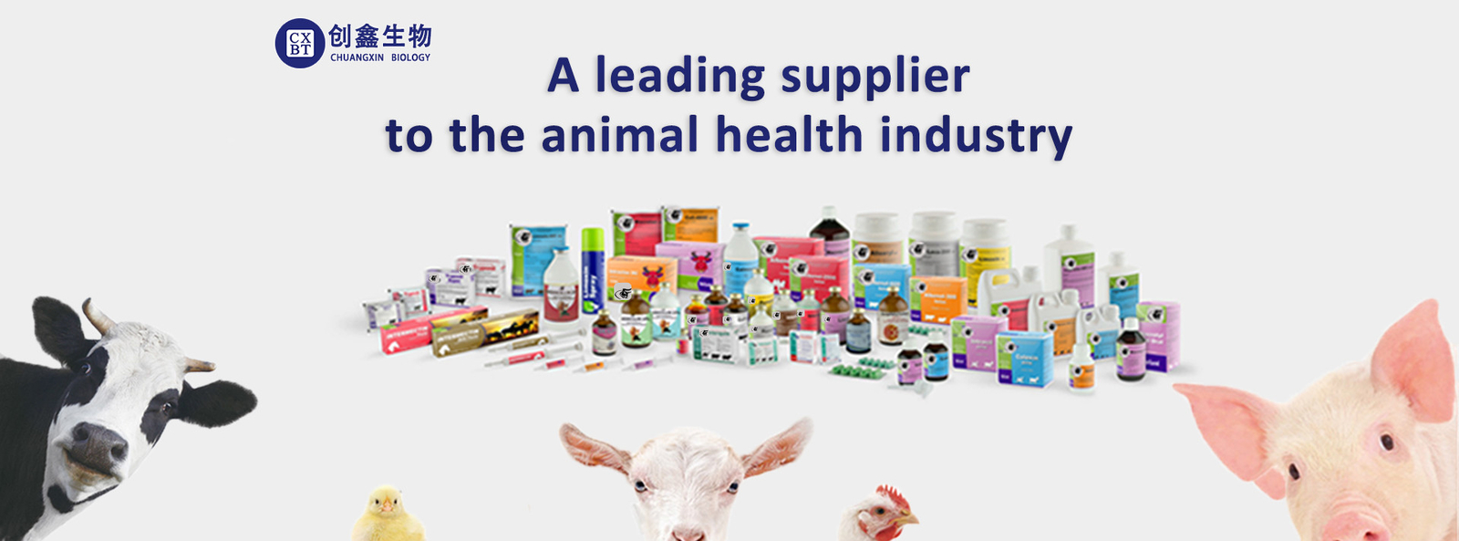 quality Veterinary Injectable Drugs factory