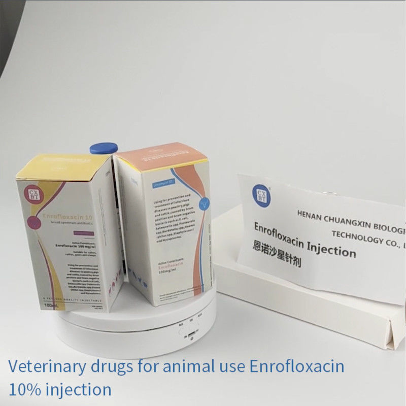Cat Rabbit Campylobacter Mycoplasma Enrofloxacin 100ml 50ml 10% 30% Oral Solution