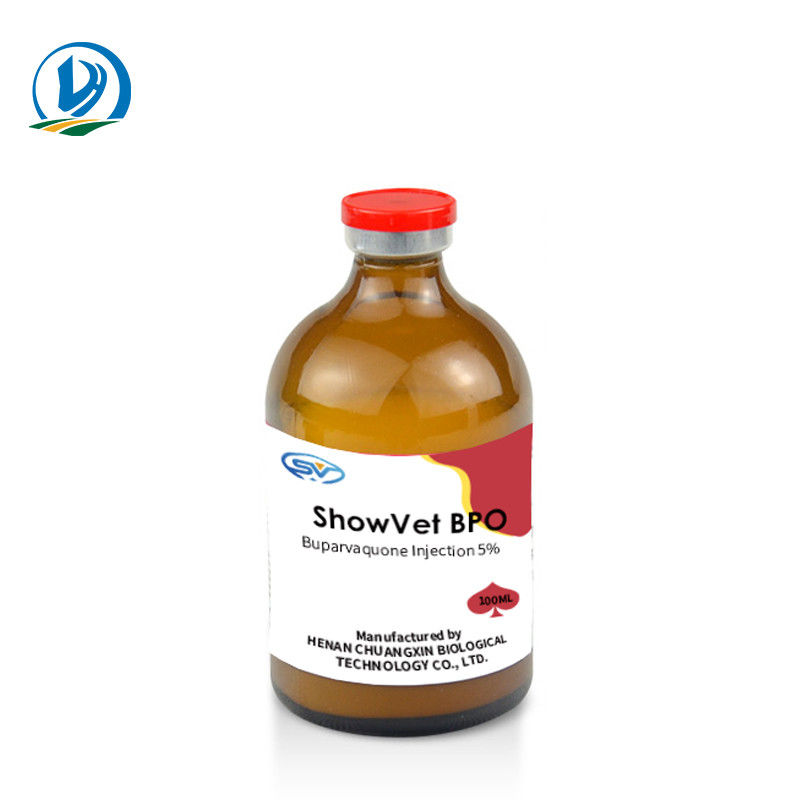 Buparvaquone Injection 5% Veterinary Injectable Drugs For Cattle Calves Sheep Goats Dogs Cats