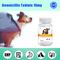 Veterinary Medicine Amoxicillin Tablets 10mg Antiviral For Dog