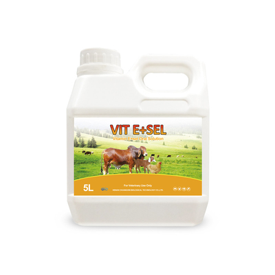 Vitamin E &amp; Selenium Oral Solution Medicine For Small Birds Horses Cats And Dogs