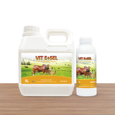 Vitamin E &amp; Selenium Oral Solution Medicine For Small Birds Horses Cats And Dogs 5L 1L