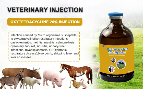Veterinary Injectable Drugs Oxytetracycline HCl 20% Injection For Cattle Sheep Goats Dogs Animal Medicines