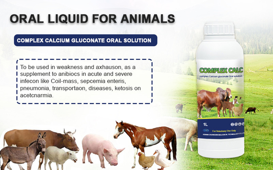 Oral Solution Medicine Complex Calcium Gluconate Oral Solution For Cattle Sheep Horses