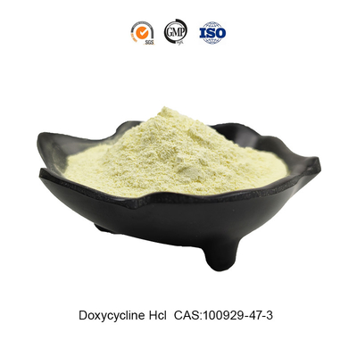CAS 10592-13-9 Doxycycline Hyclate 99% Purity Safe Delivery