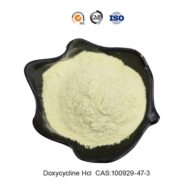 Veterinary Water Soluble Antibiotics CAS 10592-13-9 Doxycycline Hyclate 99% Purity Safe Delivery