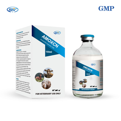 Amoxicillin Injection 15% 100ml Veterinary Antiparasitic Drugs For Cattle Respiratory Tract Infection