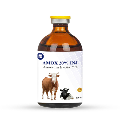 20% 100ml Veterinary Antiparasitic Drugs Amoxicillin Injection For Cattle Infection