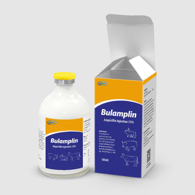 15% Ampicillin Injection Drugs For Gastrointestinal And Respiratory Tract Infections
