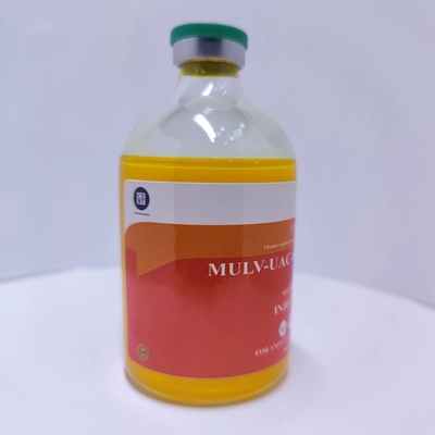 Veterinary Injectable Drugs Multiple Vitamin Injections 100ml Best Price