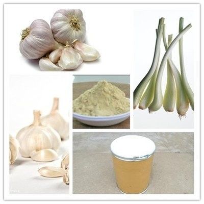 Animal Feed Additives White Garlic Extract Powder 20% 25% Allicin Powder Extract For Aquaculture