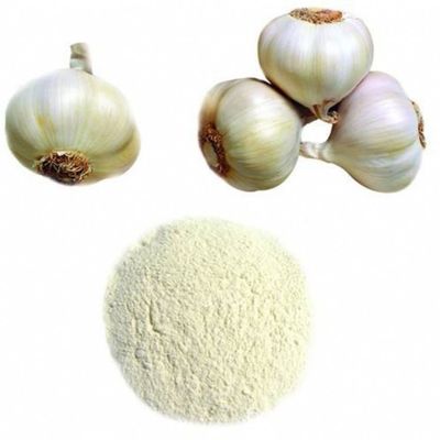 White Garlic Extract Powder 20% 25% Allicin Powder Extract For Aquaculture