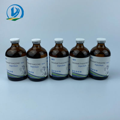 Veterinary Injectable Drugs GMP Bute And Dexamethasone Racehorse Medicine Camel Butazone Injection