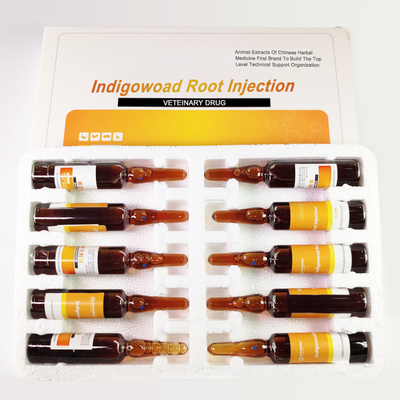 Veterinary ISO9001 Banlangen Chinese Patent Medicines Indigowoad Root Injection
